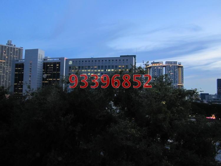 Emerald Garden (D1), Condominium #80133392